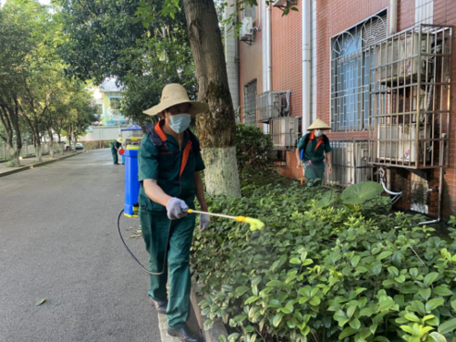 后勤物業(yè)管理服務(wù)中心集中開展蚊蟲孳生地消殺行動