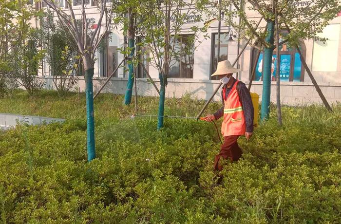 綠化案例|住宅物業|商業物業|醫院物業|市政環衛|工廠等企業管理服務